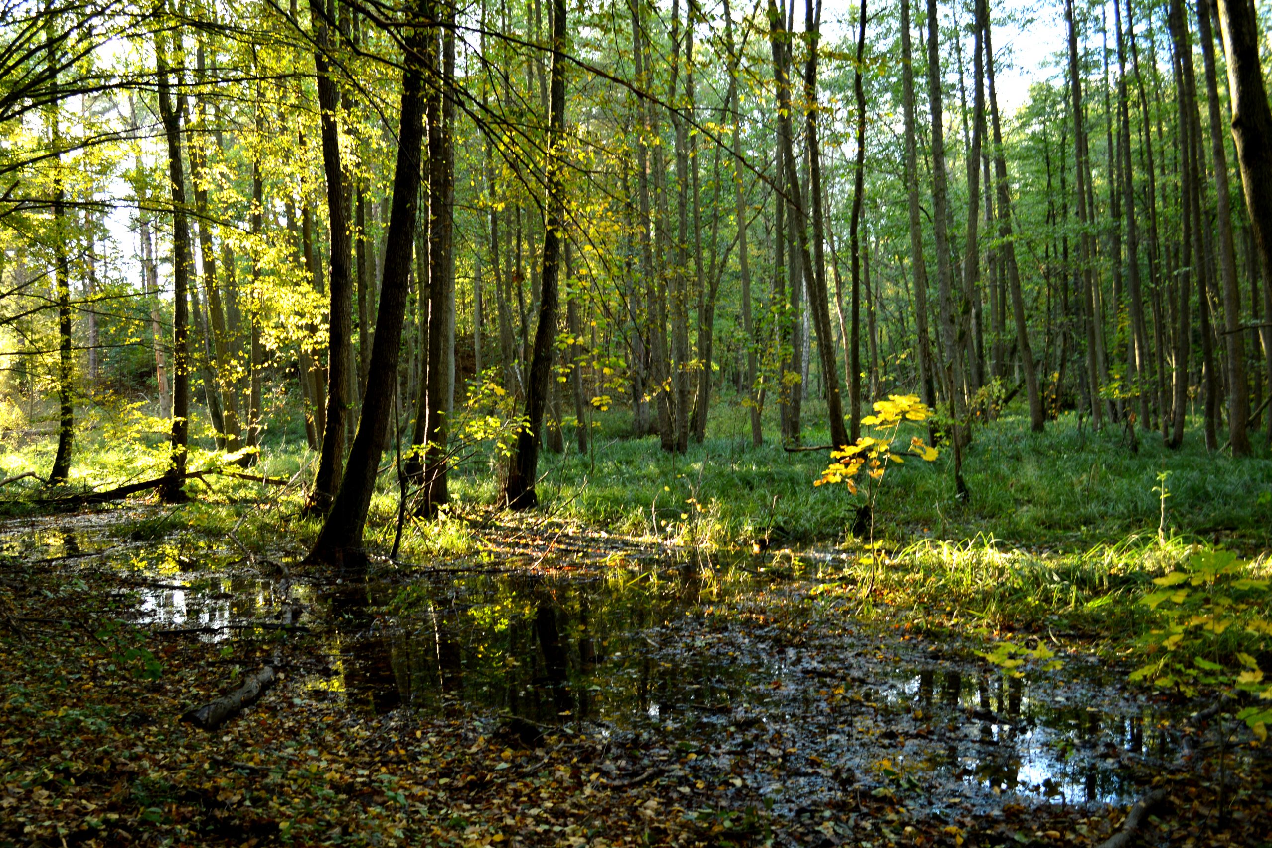Wanderwege Märkische Schweiz